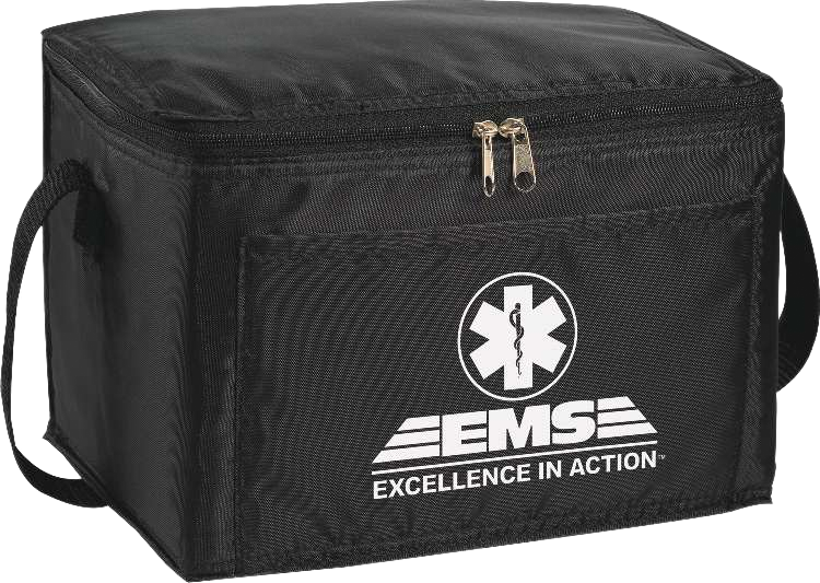 Spectrum Budget 6-Can Lunch Cooler