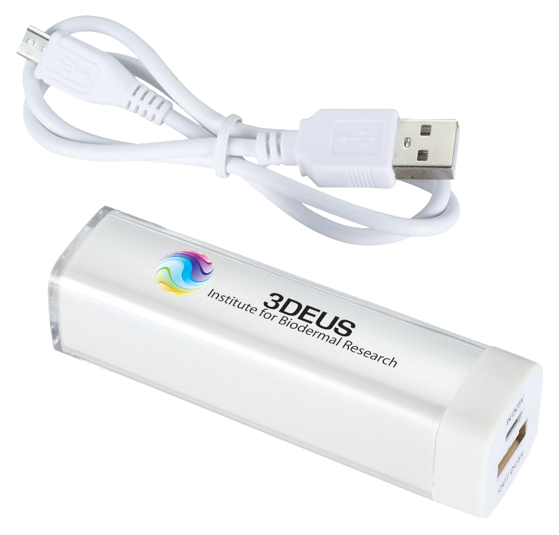Flash 2,200 mAh Power Bank